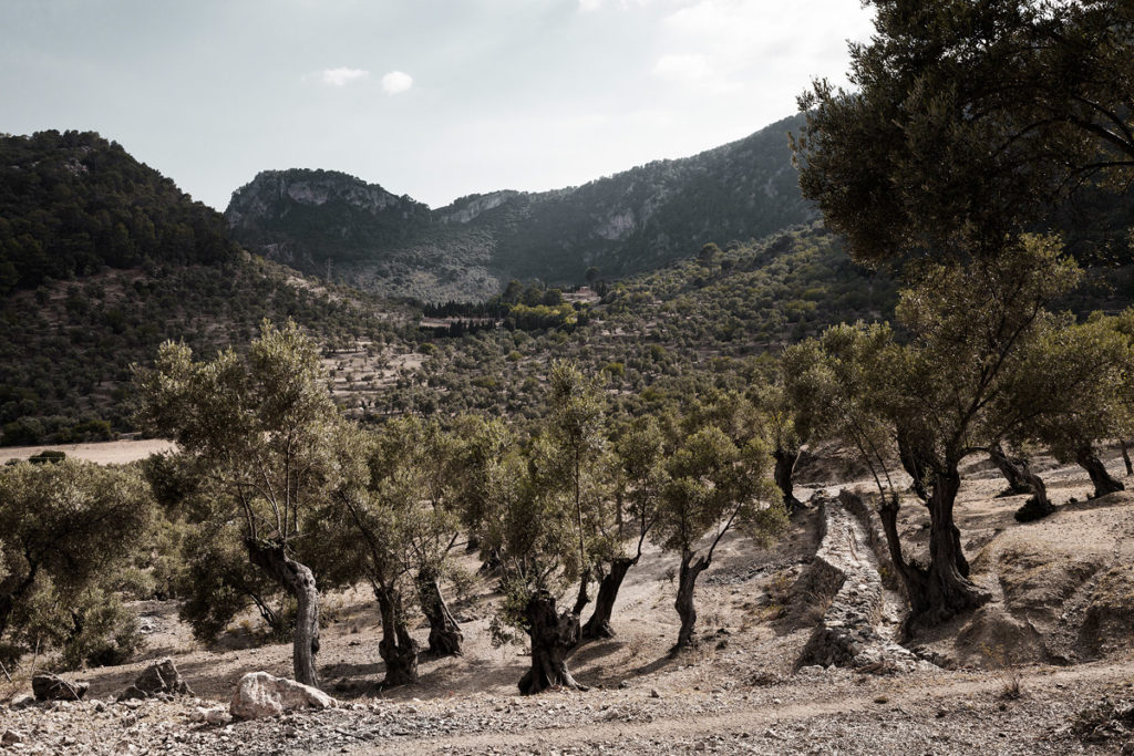 Mallorca